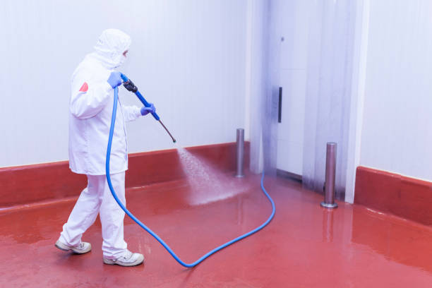 Best House Exterior Washing  in Grover Beach, CA